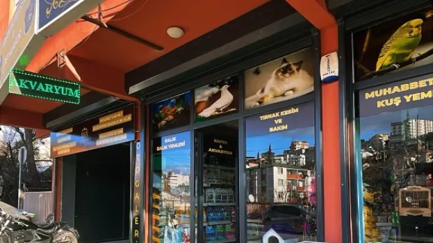 Atlantik Petshop