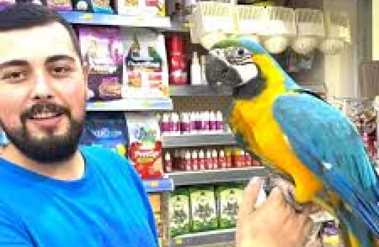 Kanmaz Petshop
